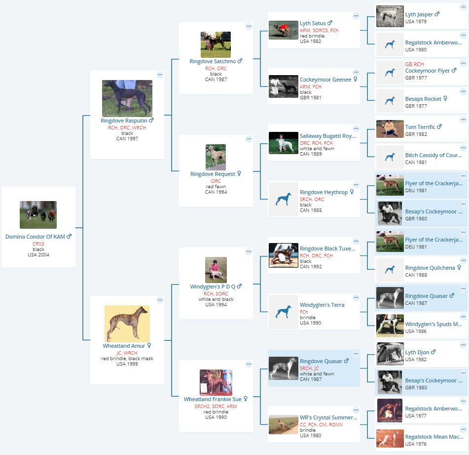 Domino Whippets Spotweld